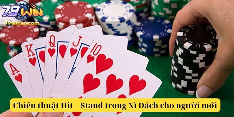 Bảng chiến thuật Hit – Stand trong Xì Dách dành cho người mới